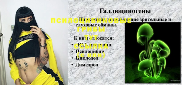 дживик Кулебаки